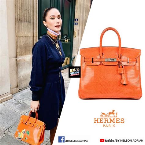 heart evangelista himalayan hermes bag price|Hermes bag for sale.